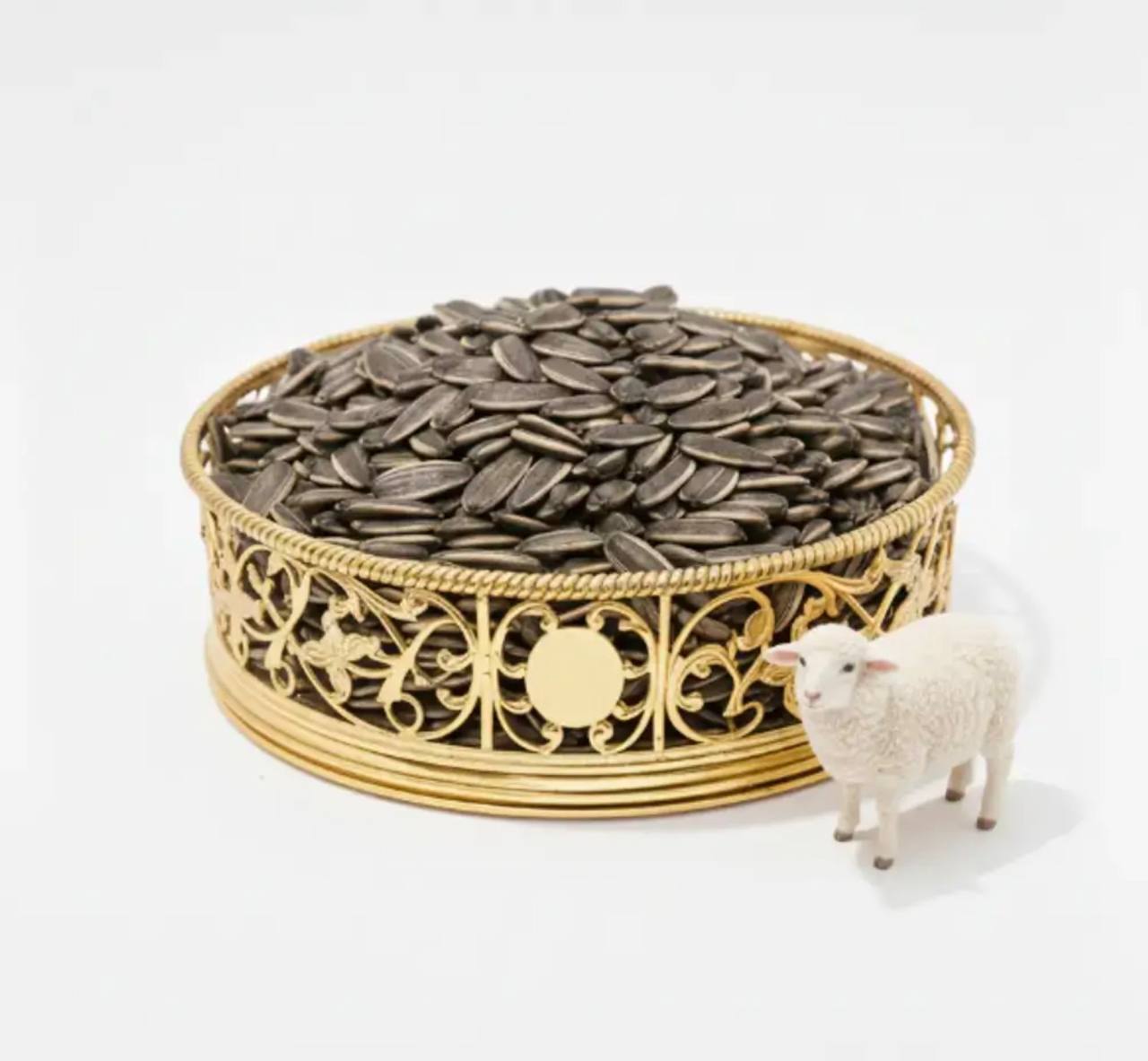 حب شمس بلية الخروف