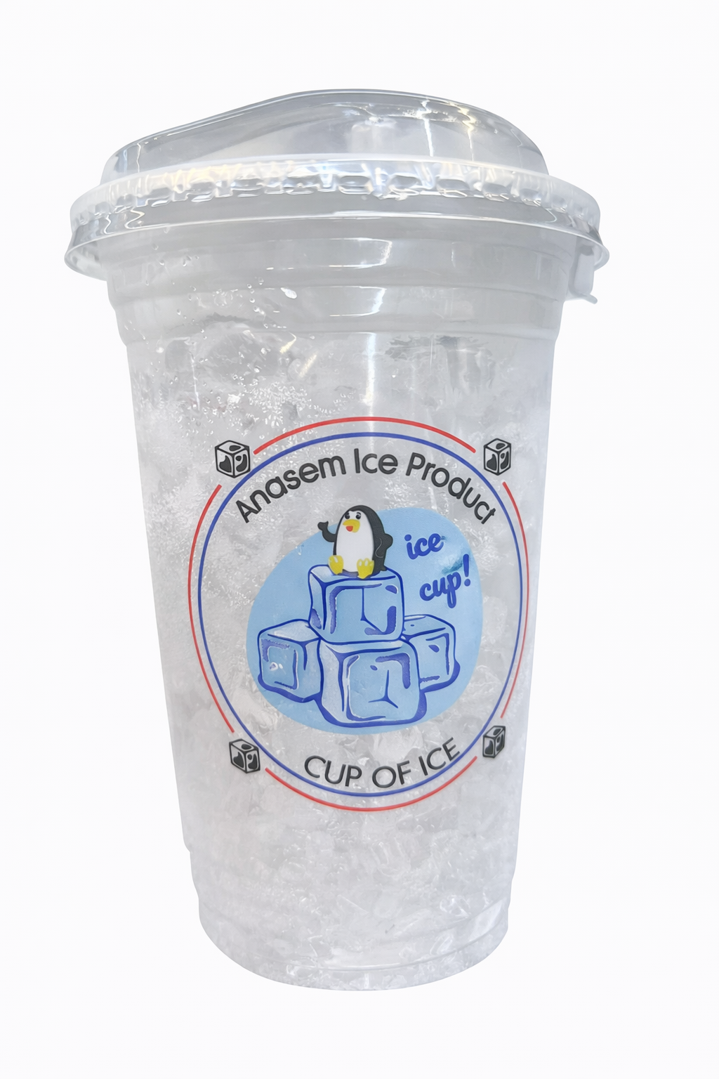 ANASEM ICE CUP