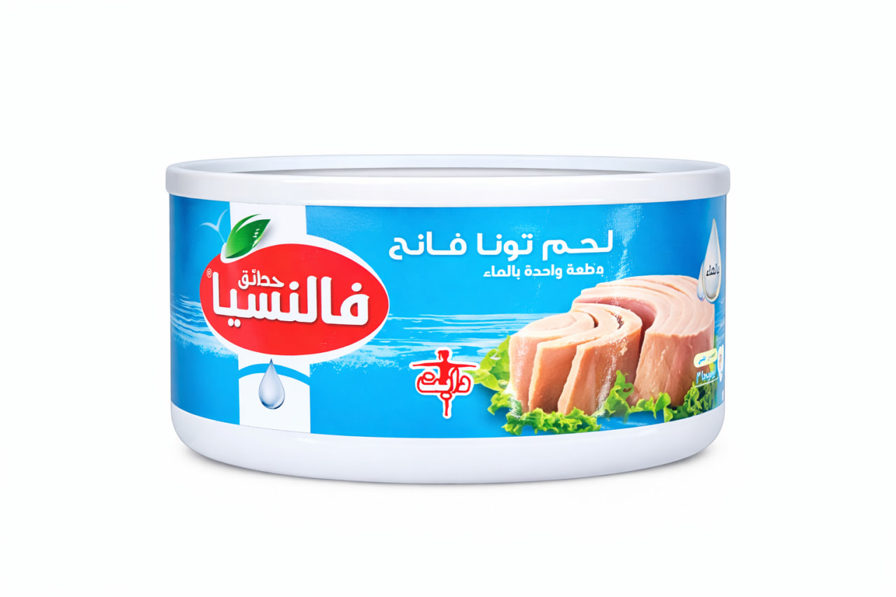 Valencia Light Meat Tuna in Water 160g